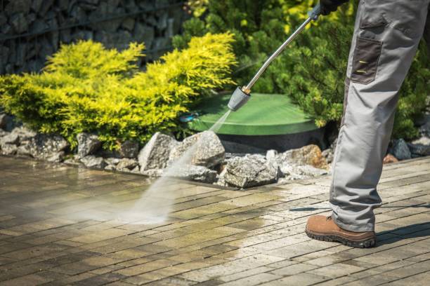 Best Gutter Cleaning  in Alturas, FL