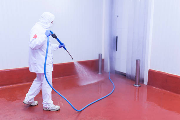 Best Playground Equipment Cleaning  in Alturas, FL