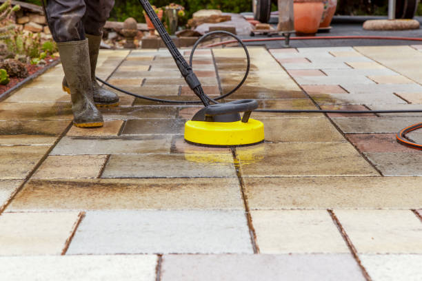 Best Solar Panel Cleaning  in Alturas, FL