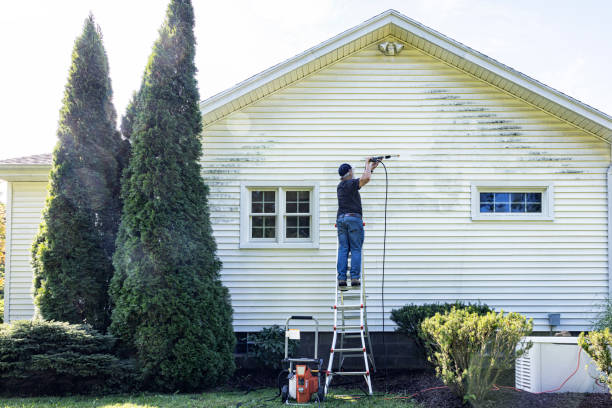 Best Roof Washing  in Alturas, FL